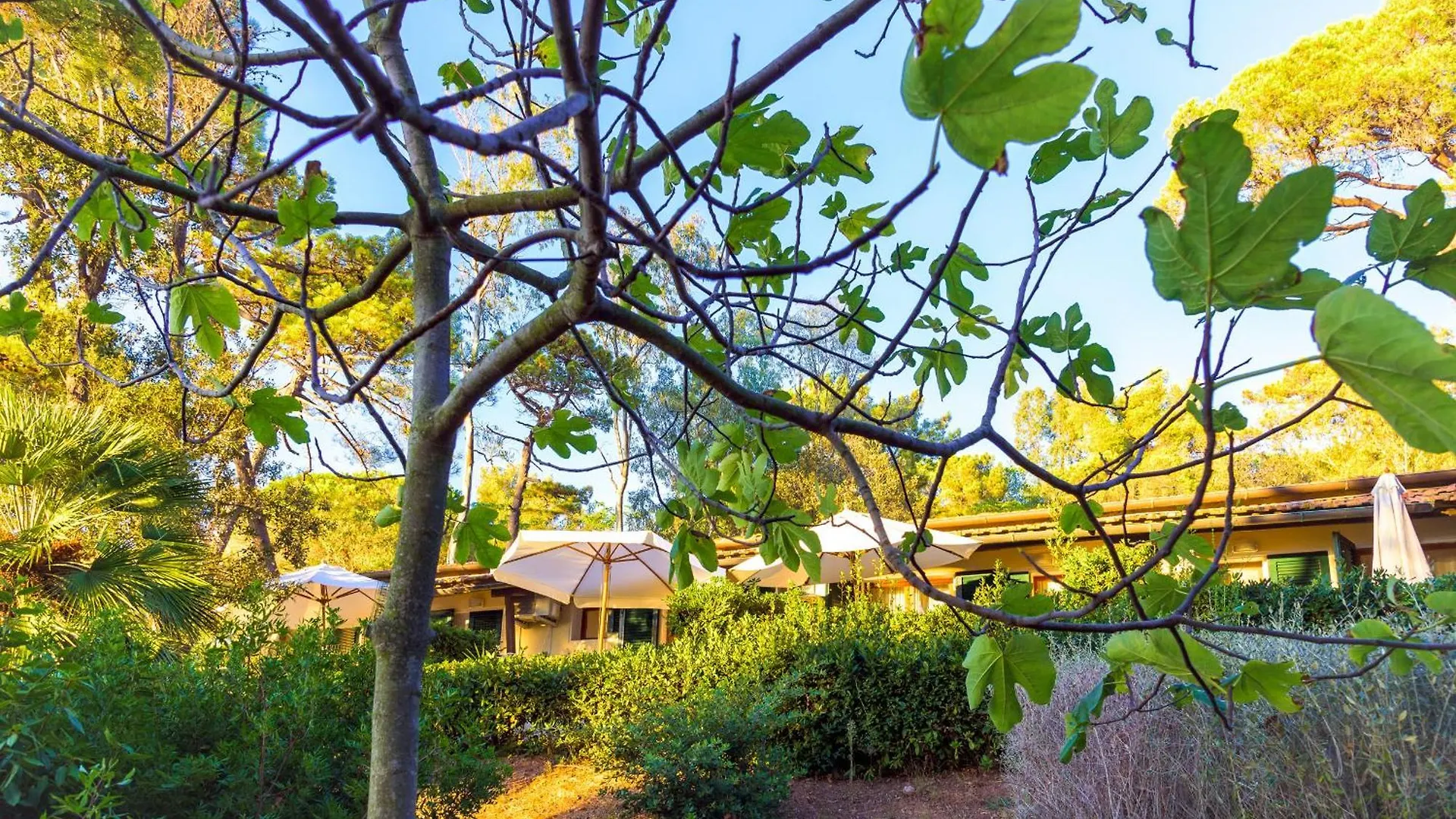 Hotel Villa Ottone بورتوفيرّايو